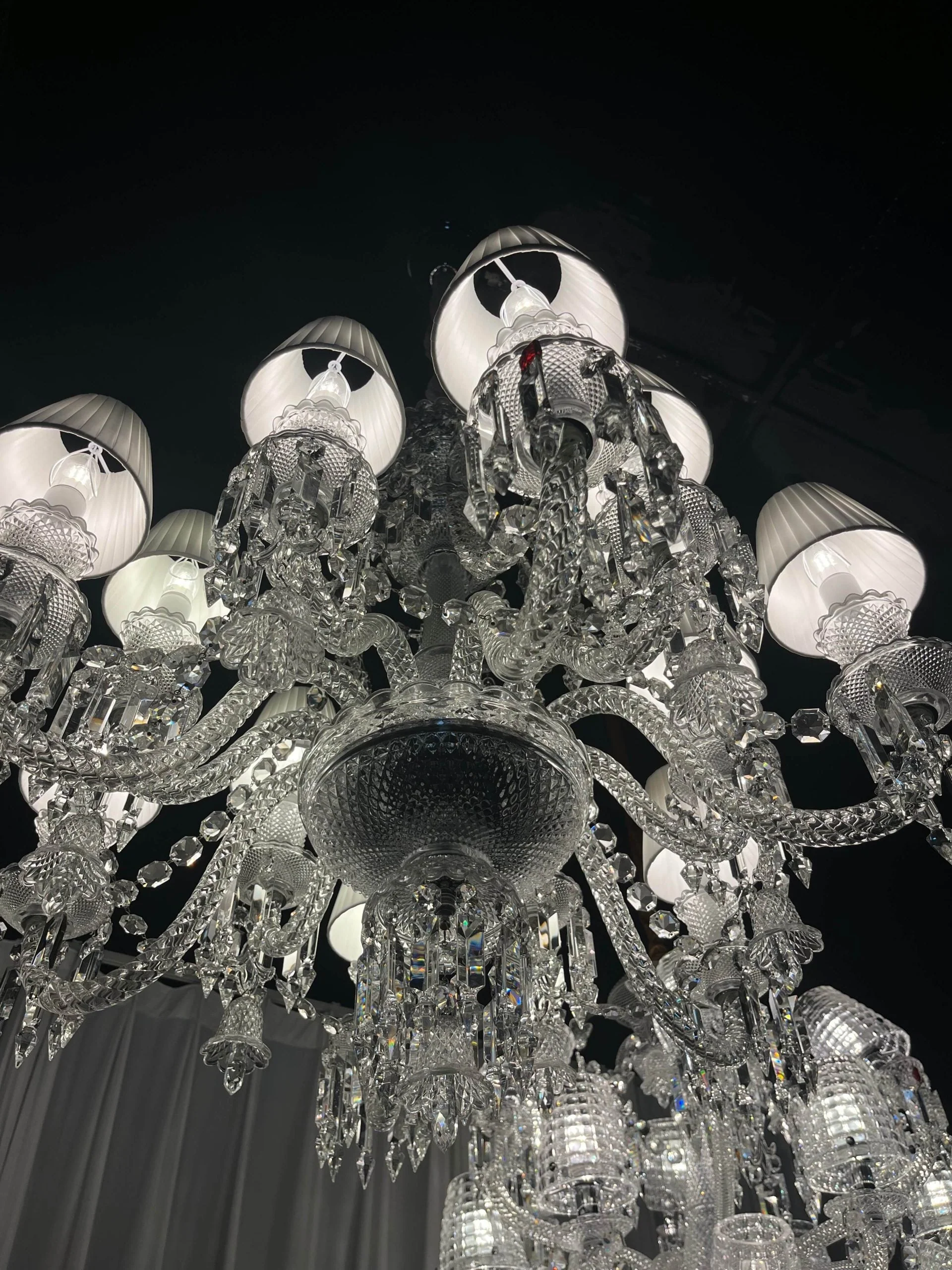 12 Lights Baccarat Zenith FLOU, JE TE VOIS FLOU CHANDELIER - Image 5