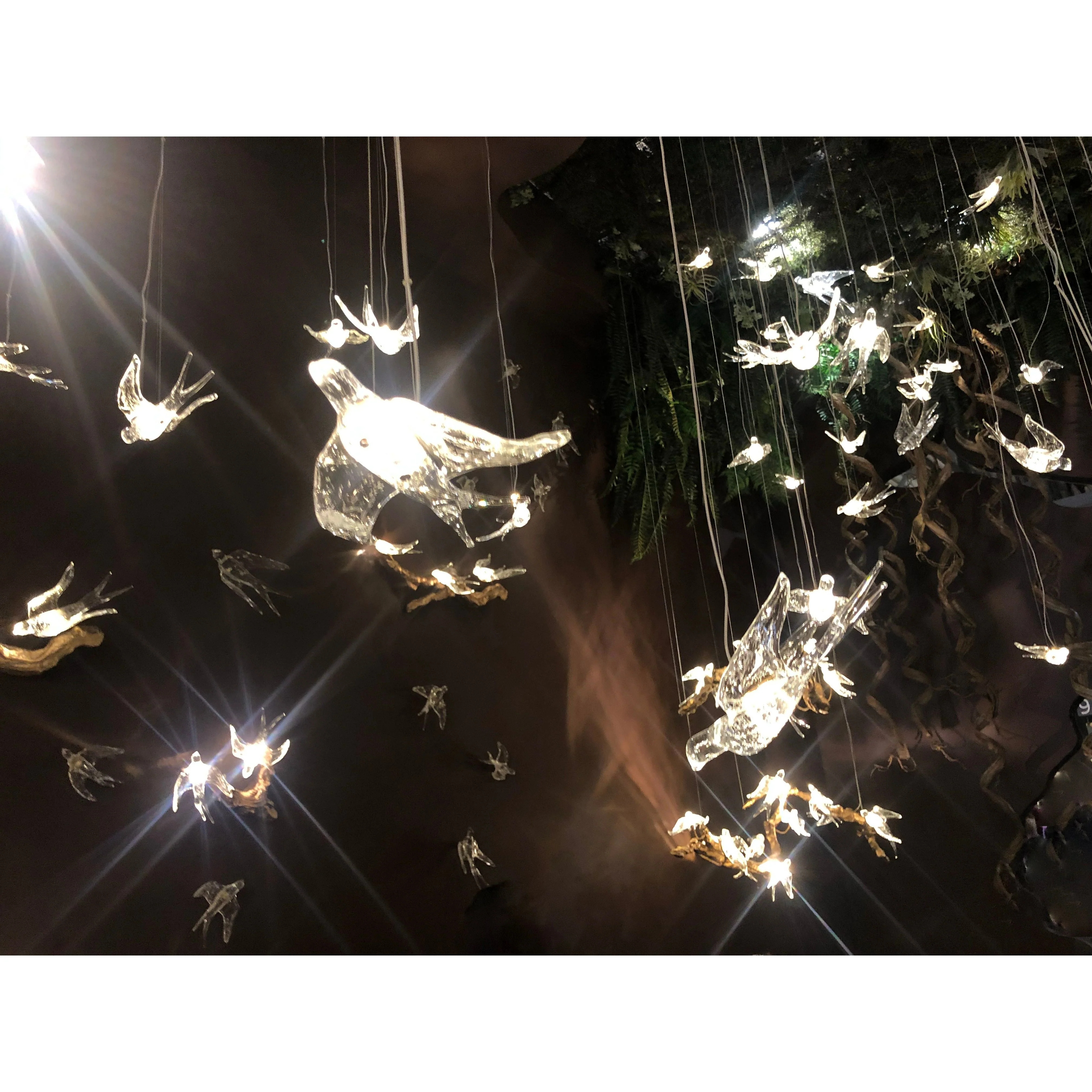Bird Song Branching Linear Teardrop Chandelier - Image 4