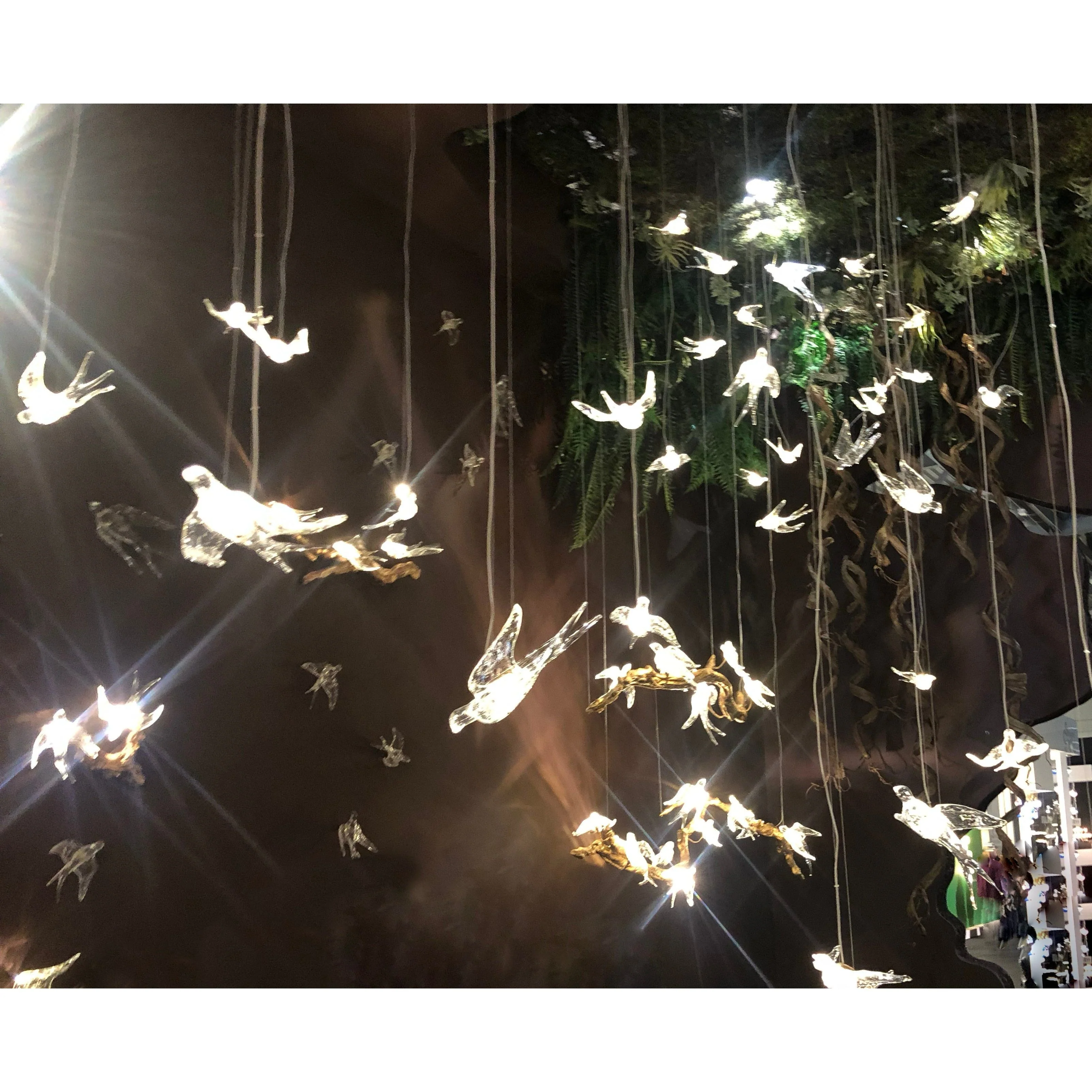 Bird Song Branching Linear Teardrop Chandelier - Image 5