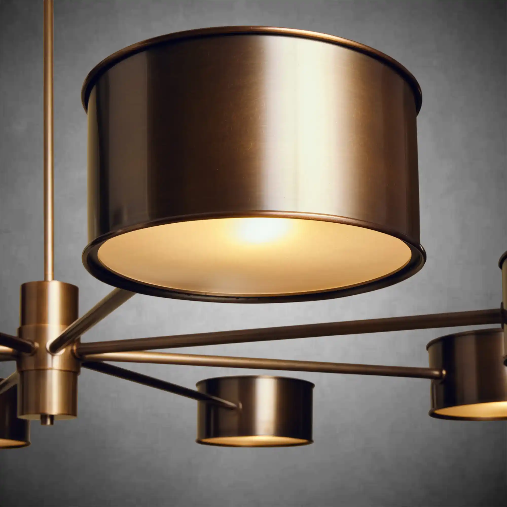 Daphne Metal Round Chandelier - Image 9