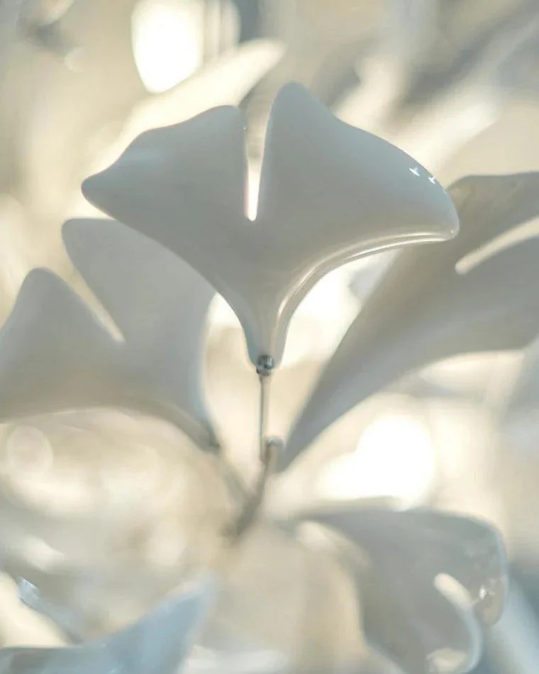 Merlin Gingko Spiral Chandelier - Image 11